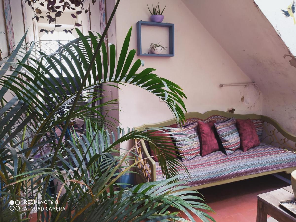 Casa Atenas (Adults Only) Guadalajara Exterior photo